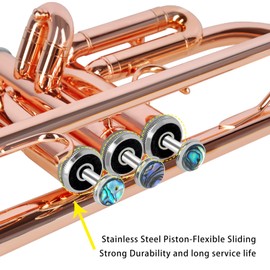 EASTROCK Bb Trumpet Standard Trumpet Set with Carrying Case,Gloves, 7C Mouthpiece, Cleaning Kit, Tuning Rod (Phosphor Copper)