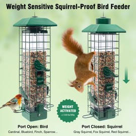 GAINSEN Squirrel Proof Bird Feeder, Metal Bird Feeders for Outdoors Hanging, Weight Activated, 3Lb Capacity, 4 Ports, All-Weather Tube Bird Feeder for Outside, Cardinal Finch Bluebird Wild Bird Feeder