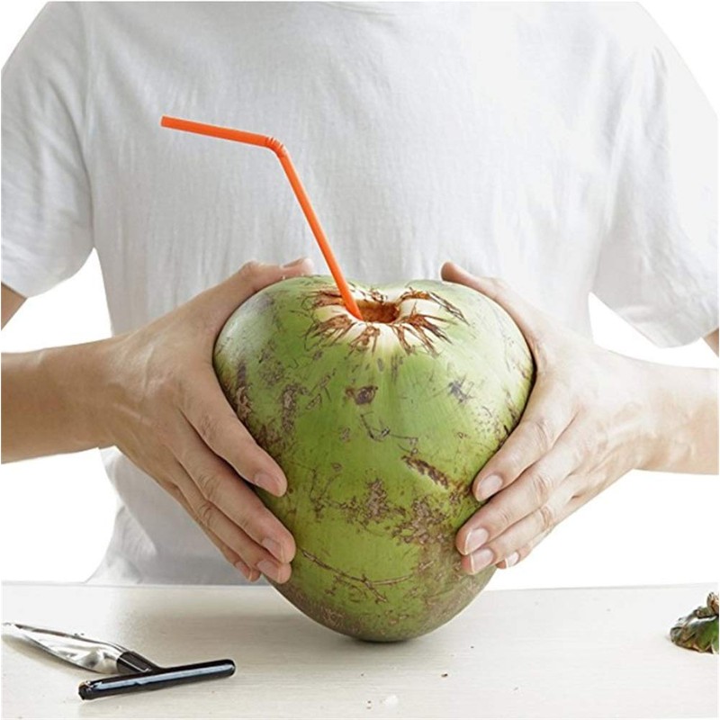Tianbi Stainless Steel Coconut Opener Tool,Coconut Scraper for Fresh Green