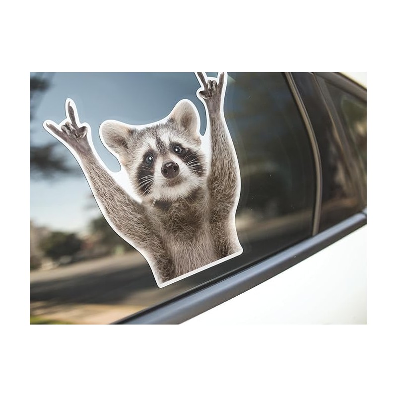 Rocking Raccoon Sticker/Decal