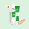 Sante Dr. Sante Artemisia Aca BB Cream 35g / 닥터상떼 아르테미시아 아카 비비 크림 35g