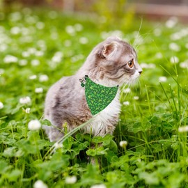 ADOGGYGO St. Patrick's Day Cat Collars with Bandana Bell, 2 Pack Adjustable Cat Bandana Collar with Removable Scarf, Green Shamrock Pet St Patricks Collar for Kittens Cats (St. Patrick's Day)