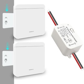 Tedeligo Wireless Switch Light Set, Mobile Wireless Remote Control Switch AC220V 230V 10A Relay Receiver Easy Installation for Lamp 100M Control Range