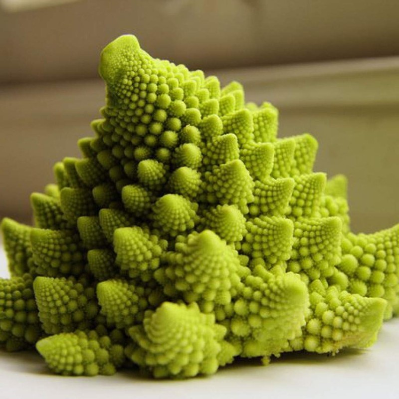 Seeds Romanesco Broccoli Beautiful Cabbage Heirloom Vegetable Non GMO