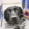 PHOENIX Sketch Pencils Set of 12 - Drawing Pencils 2H-9B