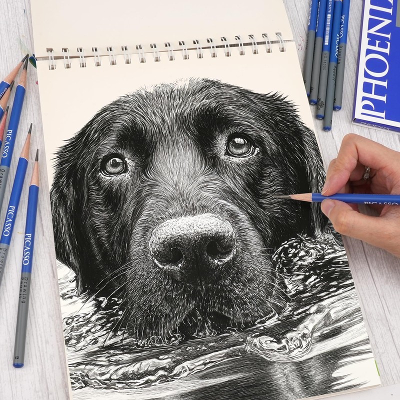 PHOENIX Sketch Pencils Set of 12 - Drawing Pencils 2H-9B