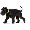 Hunter, Convenience Dog Collar, Made of Innovative Plastic Mix for