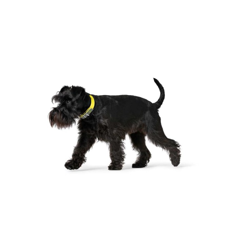 Hunter, Convenience Dog Collar, Made of Innovative Plastic Mix for