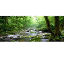 OERJU 30x12 Inches Rainforest Terrarium Background - Deep Forest Tank Aquarium, Sunny Stream, Stones, Trees, Grass, Tropical Plants - Reptile Habitat, Durable Polyester