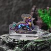 DND Miniatures Coastal Swamp & Underwater Dungeons and Dragons Starter