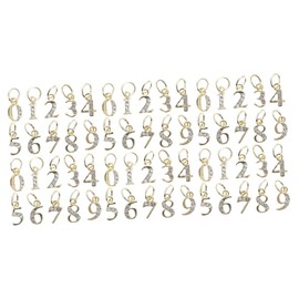 Healeved 60pcs Mixed Style Decorative Nail Charms Wear-Resistant Nail Pendants Rhinestones for Unique Designs for DIY Decoration