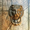 Antikas - Door Knocker Brass Lion - Front Door Knocker