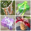 PRÄSENT C.E. Pattberg SATIN green gift ribbon, 55 yards for