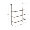 Franklin Brass (1-Pack) Over the Door Hooks Triple Towel Rack