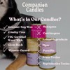 Companion Candles Wax Melt - "You Got This!" Citrus &