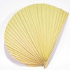 Kubakasaya Fan, Kuba Fan, Traditional Crafts, Folk Art, Okinawa, Ryukyu,