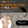Progressive Planet Wundercat Non-Clumping Cat Litter, 40lbs - Lightweight &