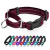 Reflective Martingale Dog Collars. Dog Collar with Quick Release Buckle.