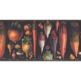 Vegetables Explained Educational Black CB3049V21B Wallpaper Border