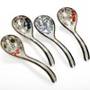 Cididu 8 Pcs Asian Ceramic Soup Spoons, Japanese Ramen Spoon