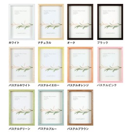 APJ Frame, Art Box Frame, Colored Paper Size, 96.5 x 10.8 inches (245 x 275