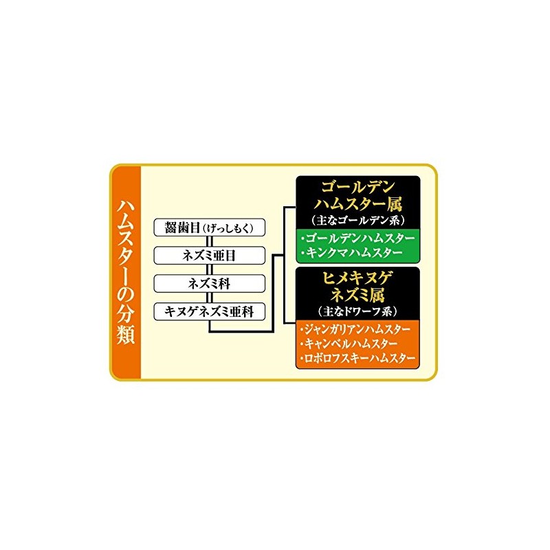 Gex Saishoku Kenbi Hamster Blend, Specially for Dwarf Hamsters, 300g