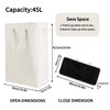 Odonata Slim Laundry Hamper Handles Collapsible Laundry Basket Thin Dirty