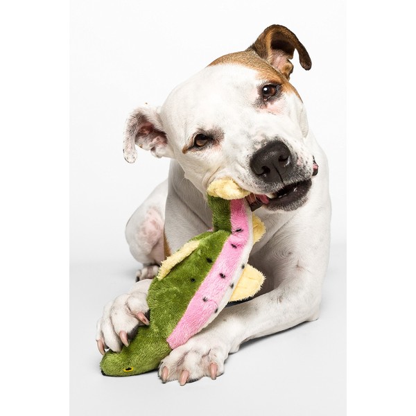 Fluff & Tuff Burt The Lake Trout Dog Toy