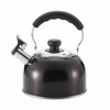 Bestco NQ-0027 Delicious Kettle, Whistling Kettle, 6.4 gal (2.4 L),