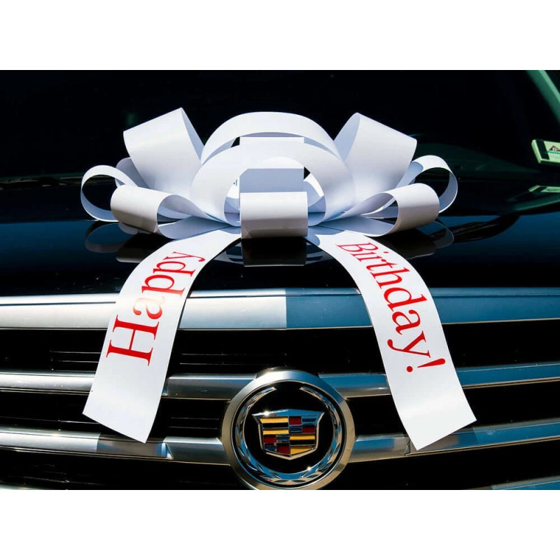 CarBowz Magnetic Car Bow Large 4ft Black Color