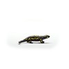 Schleich Wild Life New 2024 Wild Animal Toy Fire Salamander