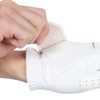 ZEROFIT Zero Fit Inspirational Gloves Golf Gloves 8.7 inches (22
