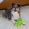 Outward Hound Squeaker Matz Plush Gator Dog Toy, Small