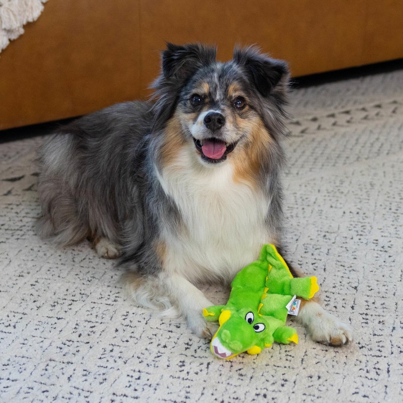 Outward Hound Squeaker Matz Plush Gator Dog Toy, Small
