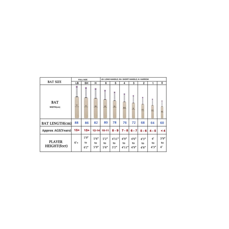 SS Gladiator Kashmir Willow Leather Ball Cricket Bat, Exclusive Cricket