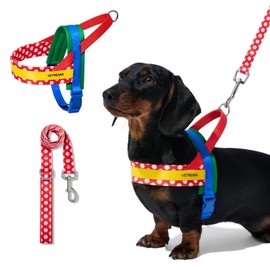 Vetreska CHROMA Pet Harness Set, Lead, Torso, Collar, Red, Yellow, Cute, Stylish, Tricolor, Small, Medium, For Dogs