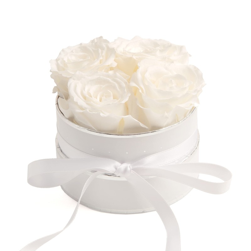 Rosmarie Schulz Heidelberg Rose Box, White Round Infinity Rose, Flower