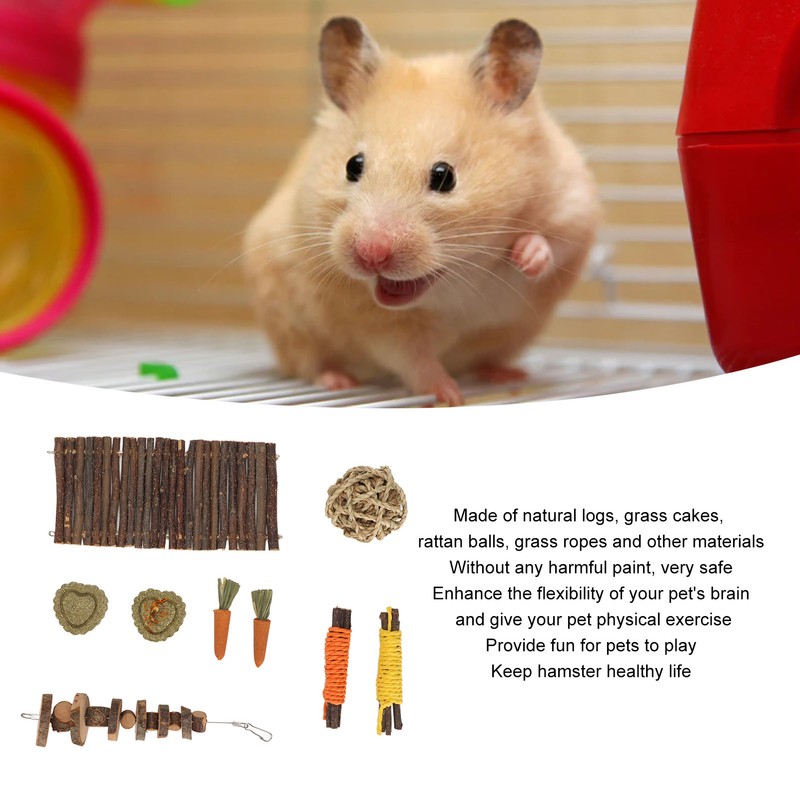 9Pcs Wooden Hamster Toys Arch Bridge Wooden Piece String Apple