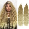 Ocean Wave Crochet Hair 24 Inch 2 Packs Deep Wave