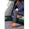 Rainbow Socks – Women's Men's Classic Colourful Cotton Socks -