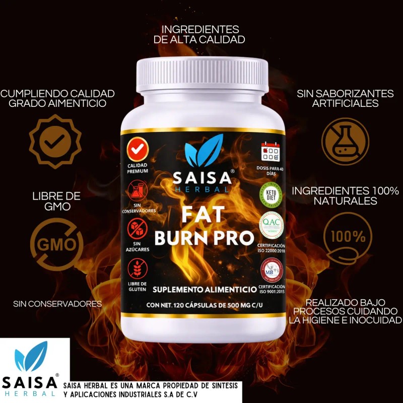 Carnitina Suplemento Quemador Grasa Natural Alta Pureza Suplmento Adelgazar Rapido