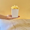 A Little Extra Co 100 Pack White Popcorn Boxes, 4