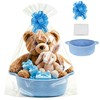 TONIFUL Blue Small Woven Basket with Gift Bag and Pullbow