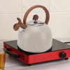 Whistling Kettle 2.5L Capacity Stainless Steel Stovetop Teapot for Water