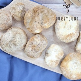 200g Helicopteric Mane Mushroom Tea, Domestic Product / 노루궁뎅이버섯 200g 노루궁뎅이버섯차 국내산