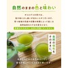 【Official】boco to deco (Tube Type) Green Juice Powder - Ashitaba