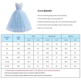 Glamulice Girls Baby Blue Dress Christmas Party Lace Bridesmaid Tulle Dresses Flower Girl Holiday Wedding Prom Ball Gown Bohemian Junior Birthday Formal Pageant Kids Daddy Daughter Dance Maxi Gown 10