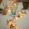 MIYA LIFE Easter Decorations Fairy String Lights | Battery Operated