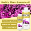Bougainvillea Fertilizer, Complete Liquid Bougainvillea Plant Food, 32 oz (1