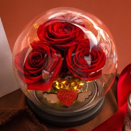 Wishwell Pop Preserved Roses Flower in Glass Dome, Real Red Rose Flower, Gifts for Her, Valentines Day Mothers Day Birthday, Girlfriend Wife Mother, Home Décor